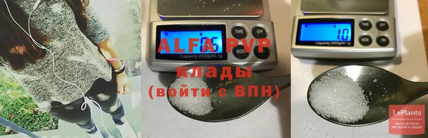 spice Бородино