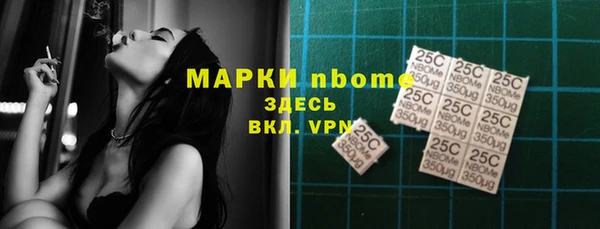 spice Бородино