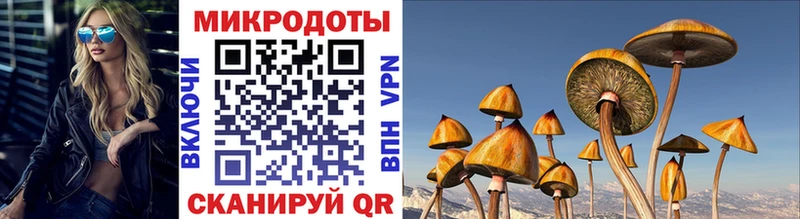 Купить  Кувшиново  Псилоцибиновые грибы мухоморы 